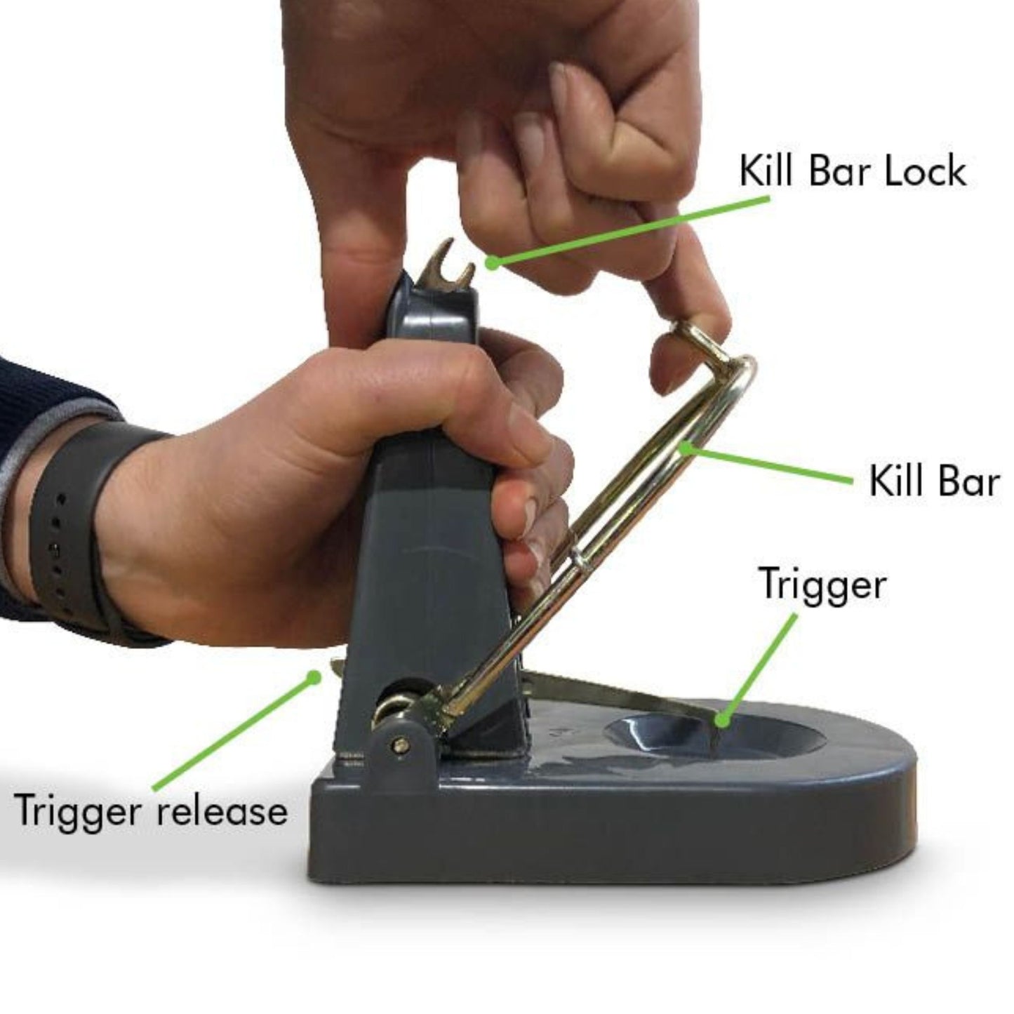 Black Cat Nano Rat Trap Components