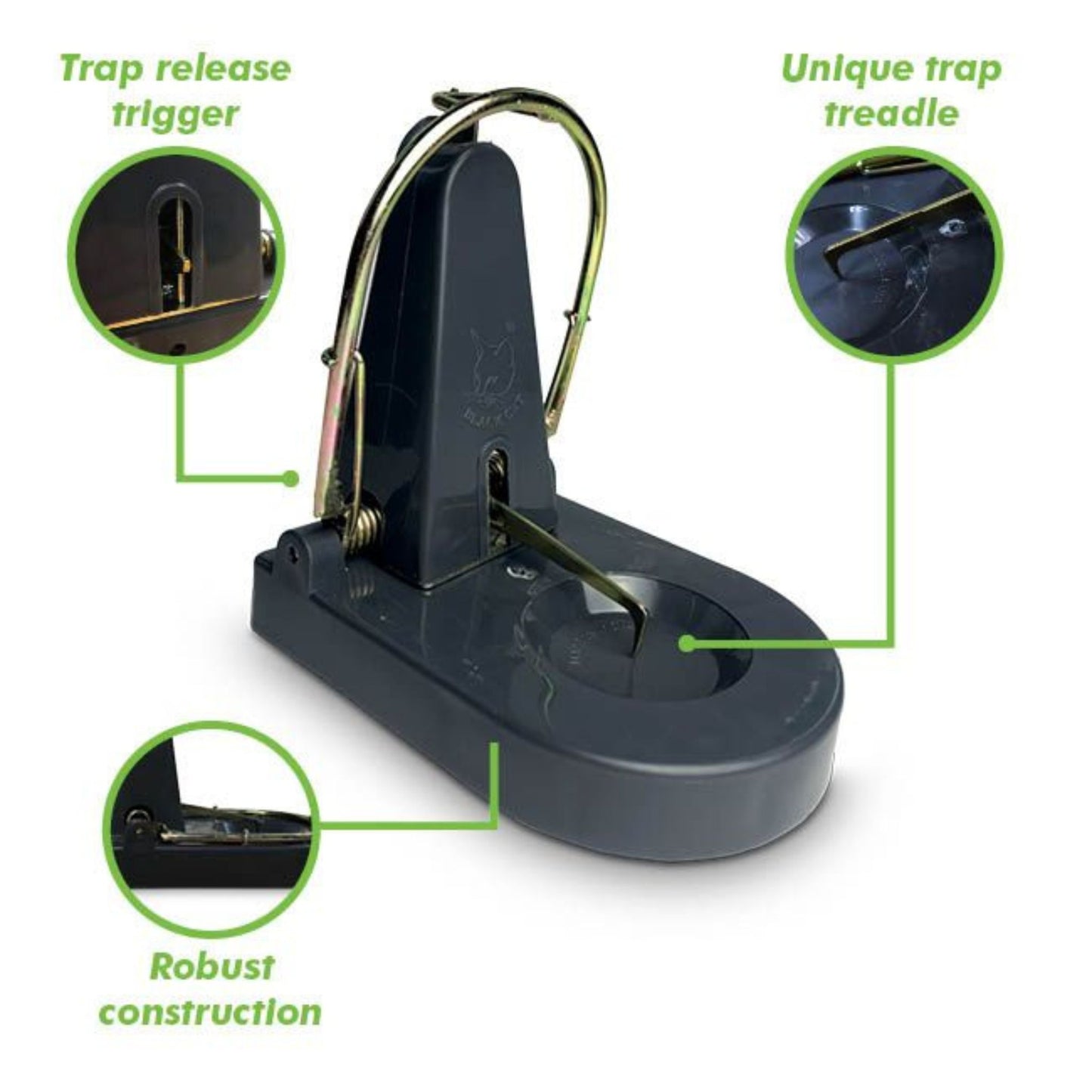 Black Cat Nano Rat Trap Jighlights