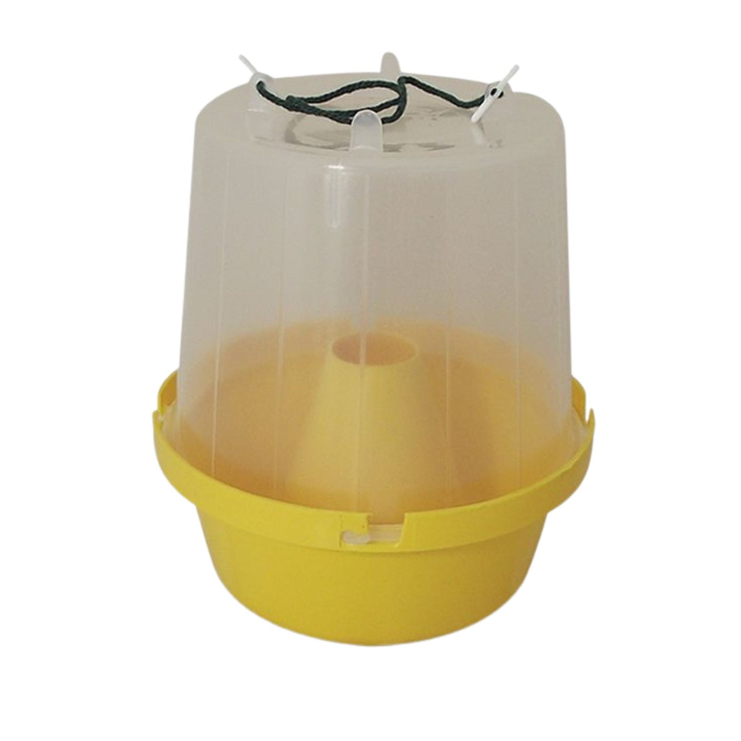 Eradi Wasp Pot