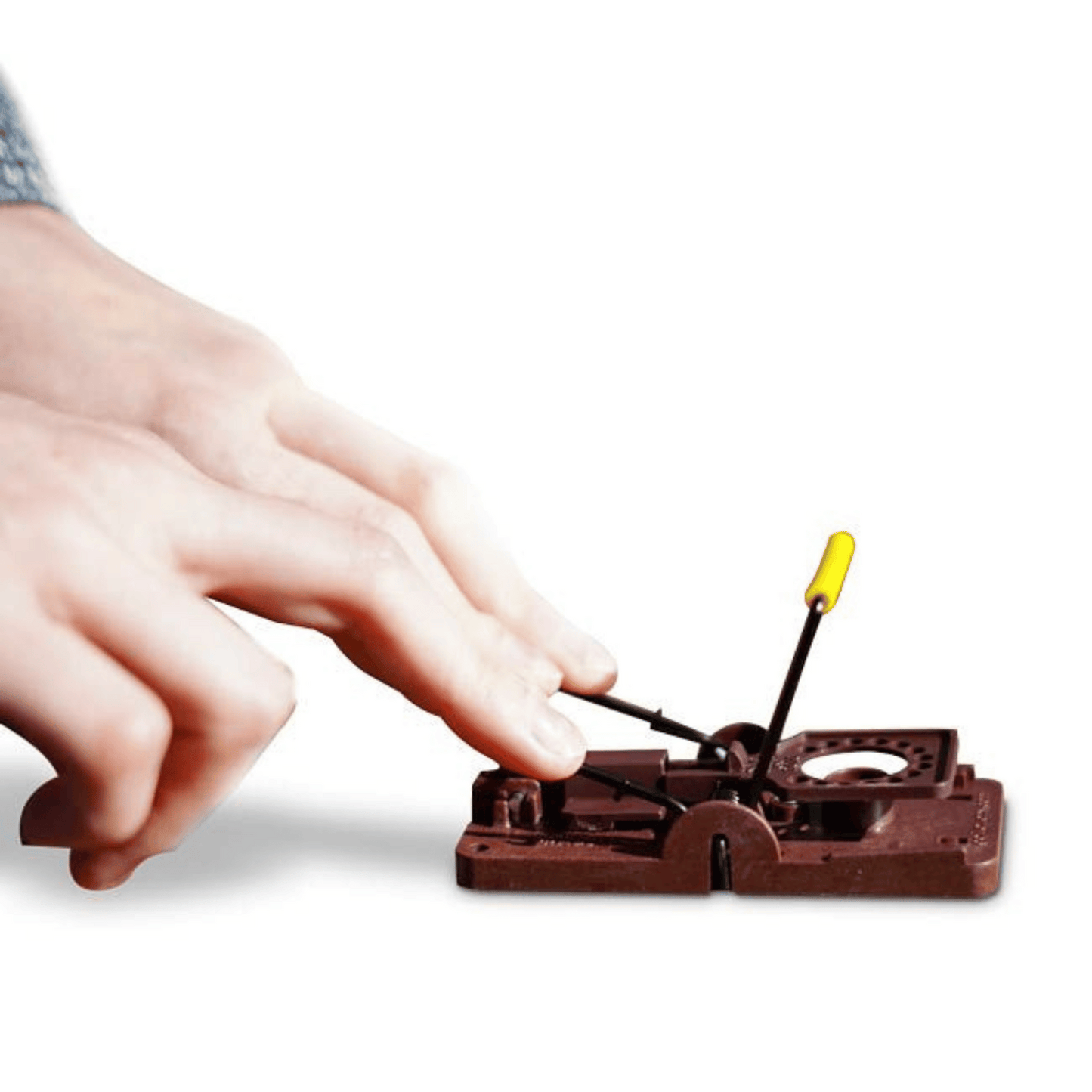 Gorilla Mouse Trap - Setting Up