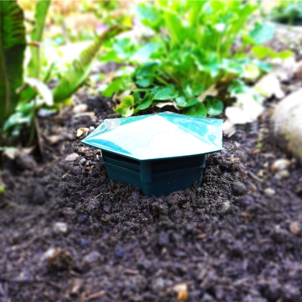 Rentokil Slug & Snail Trap - In Garden