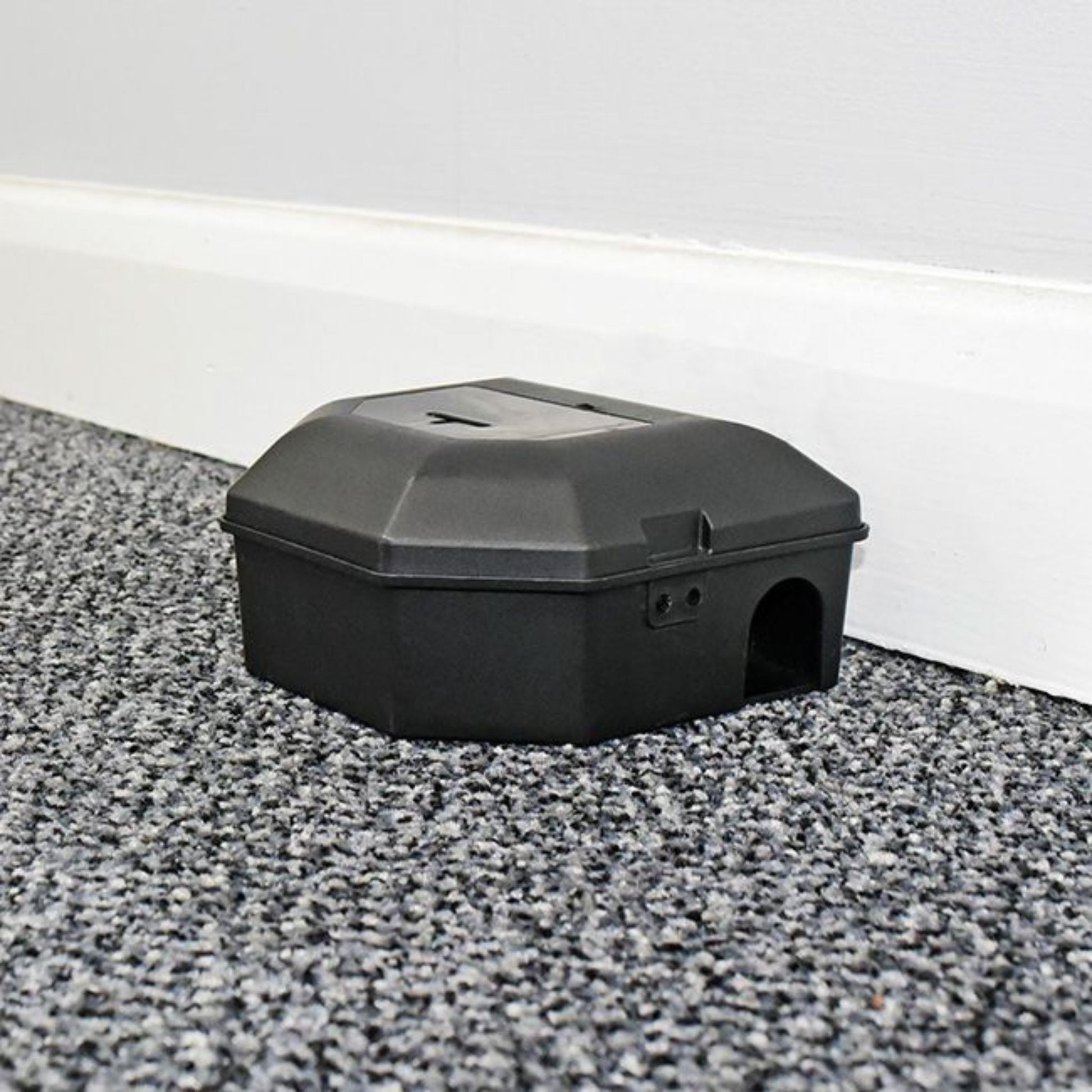 Rotech Mouse Snap Box - Black - In Action