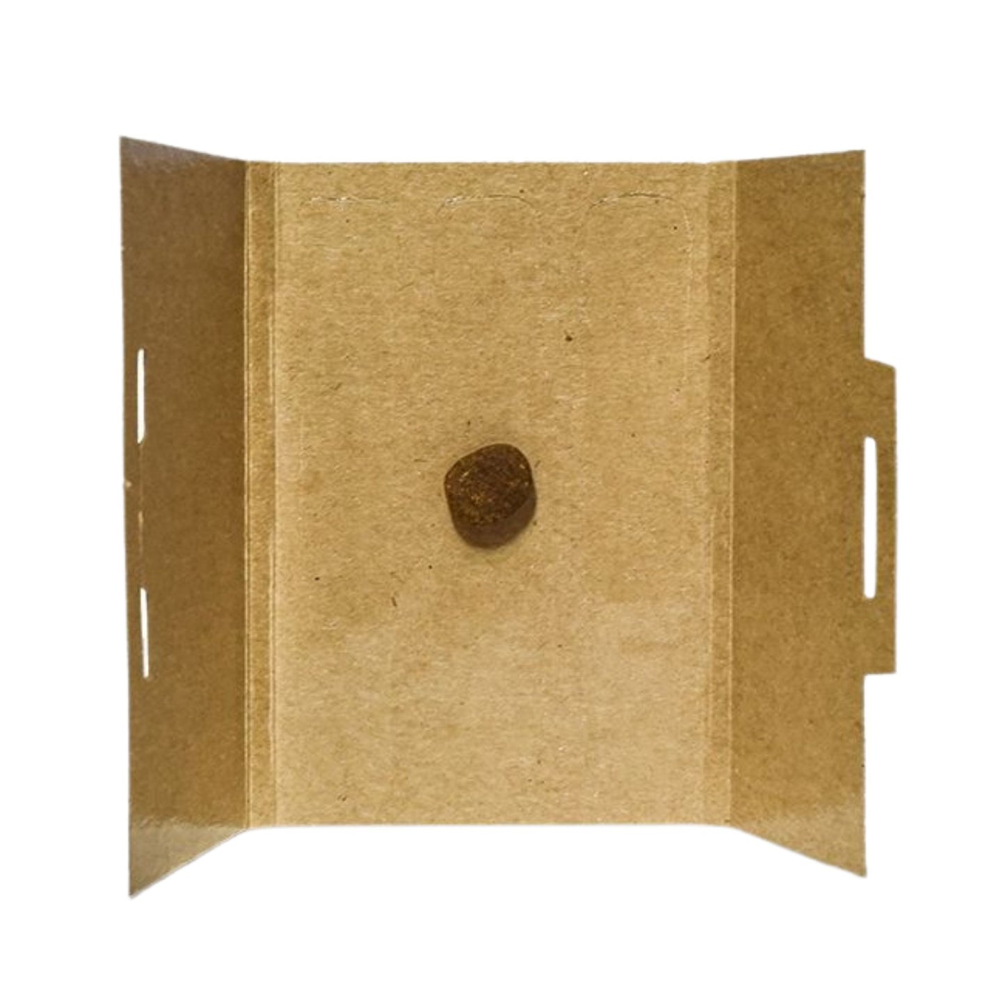 Silverfish Ninja Traps - 3 Pack - Inside View