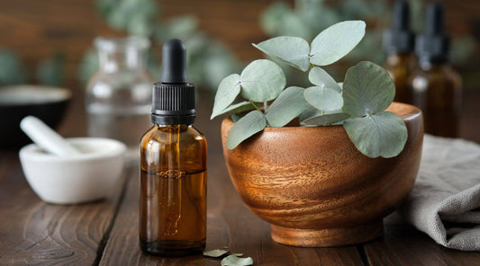 Eucalyptus Plant and Essential Oil