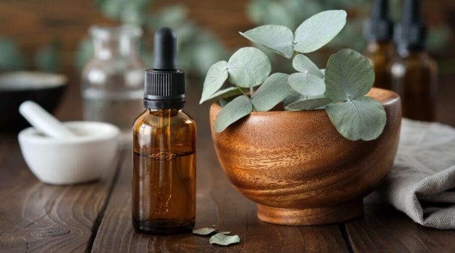 Eucalyptus leaves and oil to deter rodents