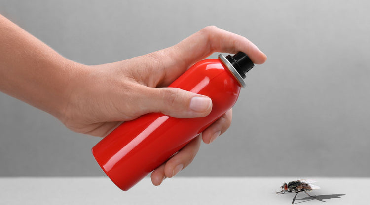 Insecticide spray vs. fly