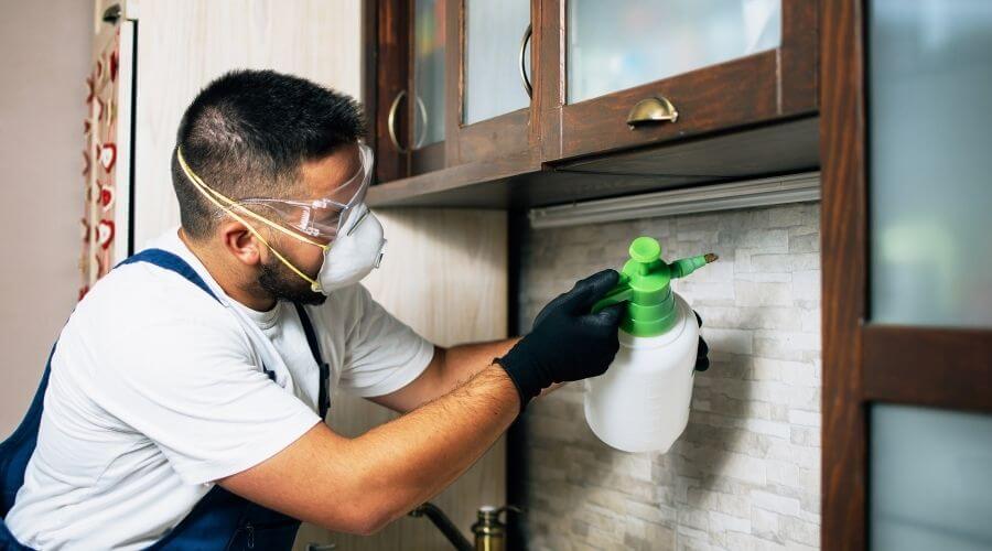 Pest control professional sprays insecticide