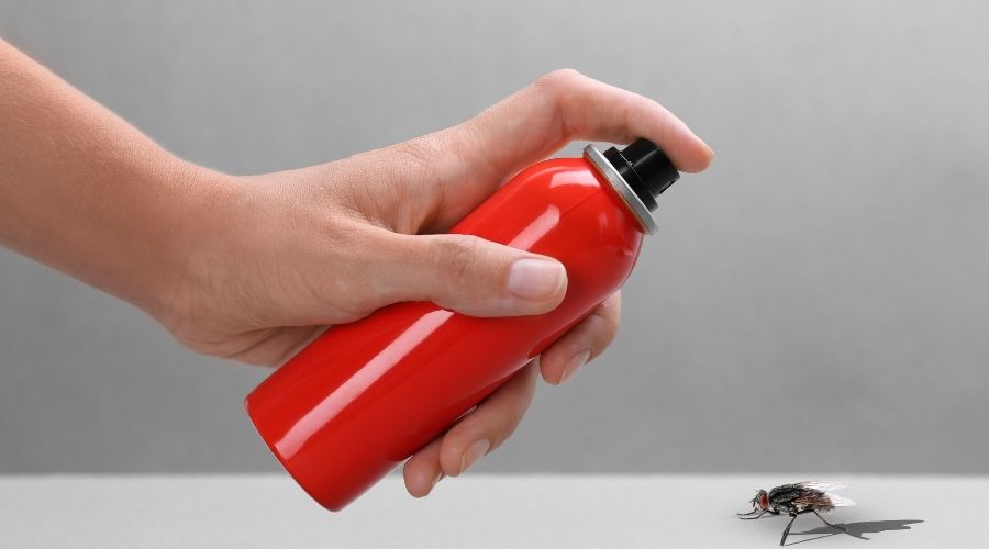 Spraying insect with insecticide