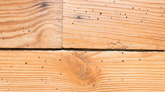 Woodworm Holes in Wooden Flooring