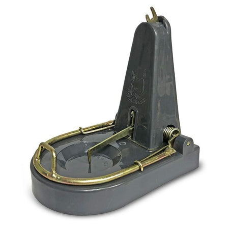 Black Cat Standard Rat Trap