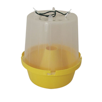 Eradi Wasp Pot