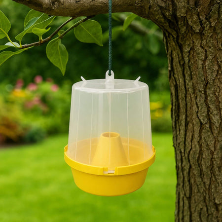 Eradi Wasp Trap Pot being used on a tree