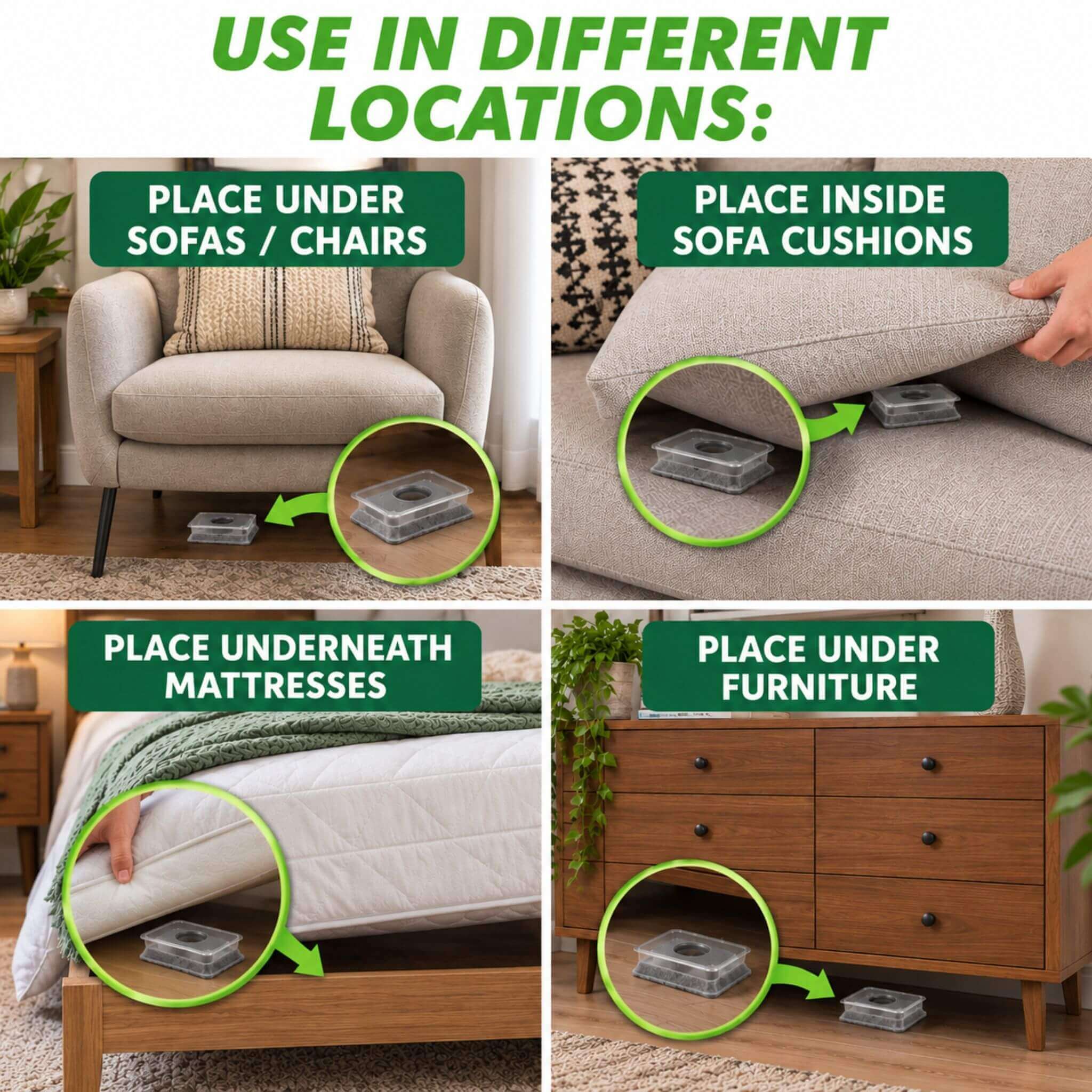 Eradisect Bed Bug Traps Use Cases