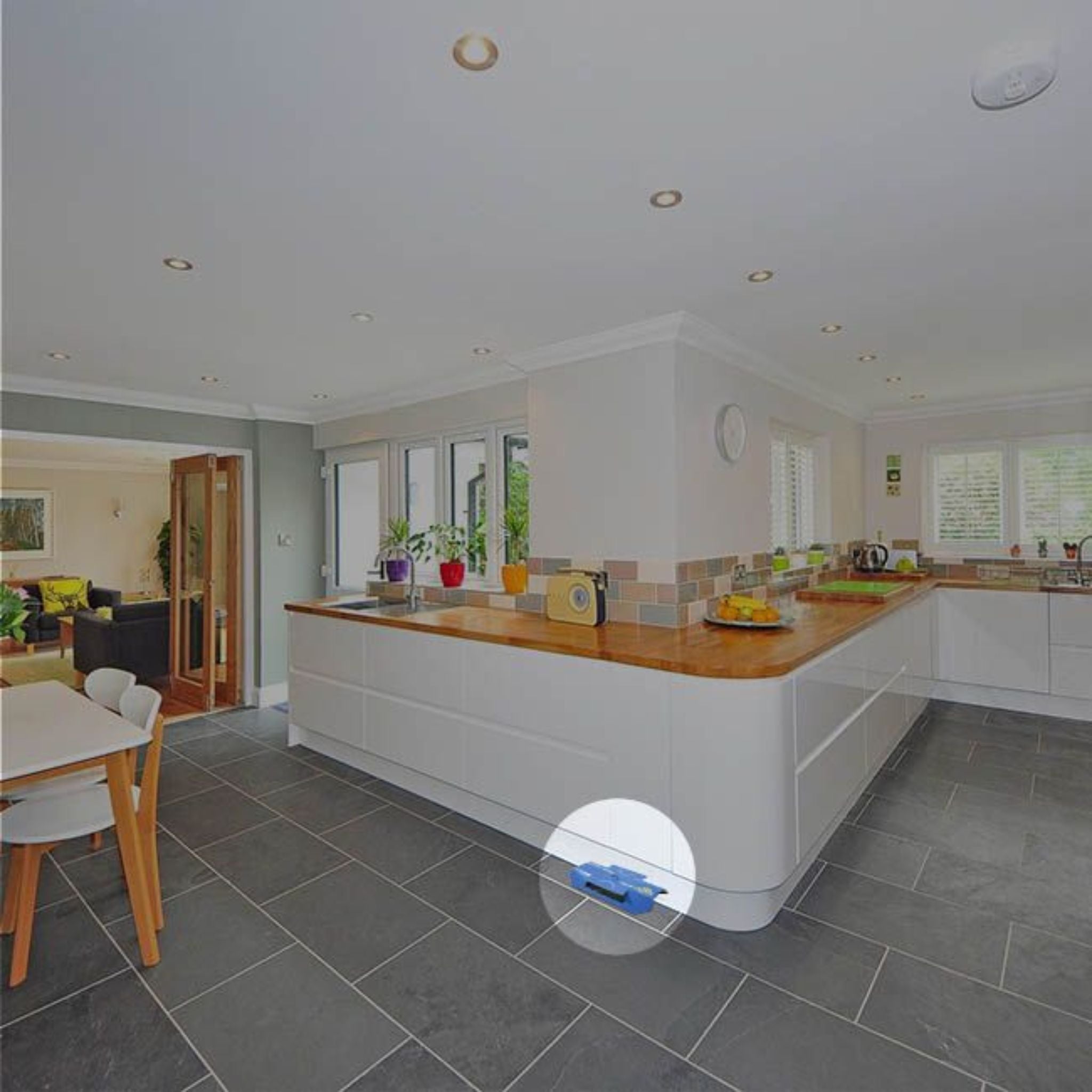 Insectrac Cockroach Trap - 10 Pack - In Kitchen