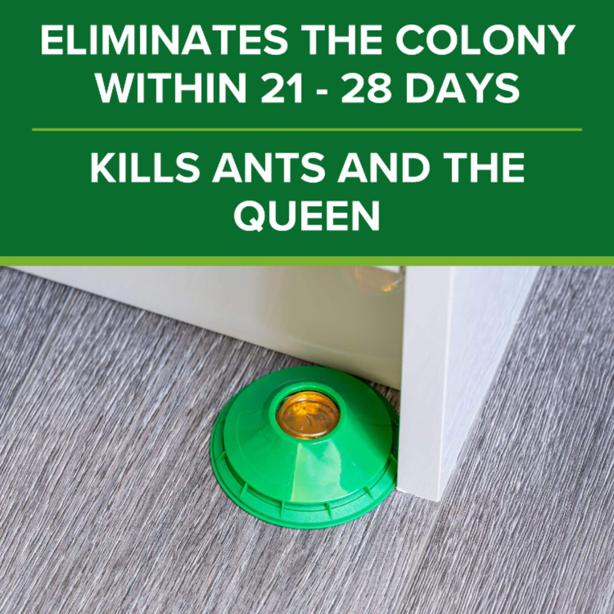 Kills ants and the queen