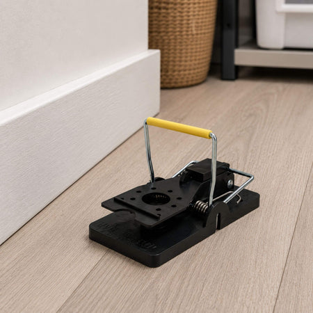 Mouse Snap Trap in Home Setting