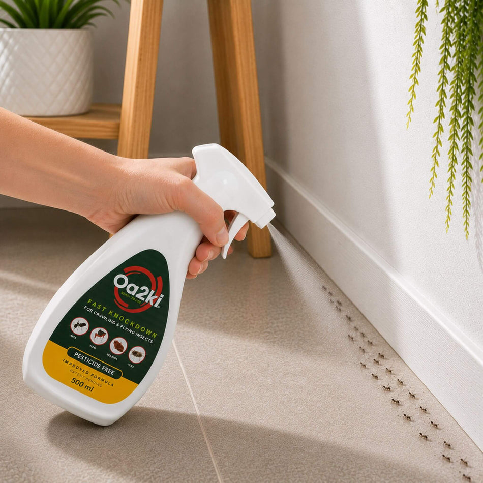 Oa2ki RTU Insect Spray Targeting Ant Trail