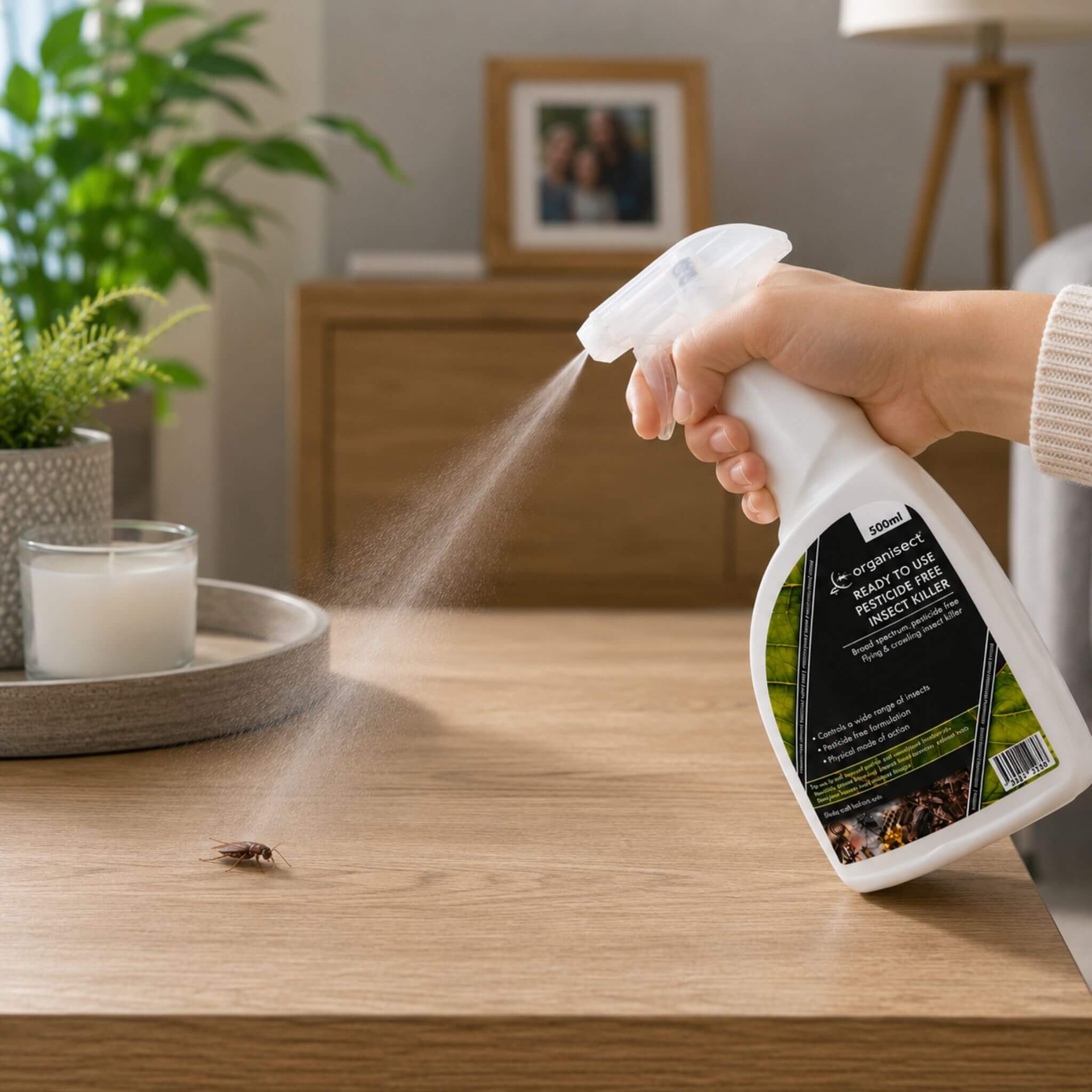 Organisect Insect Spray Targeting Cockroach
