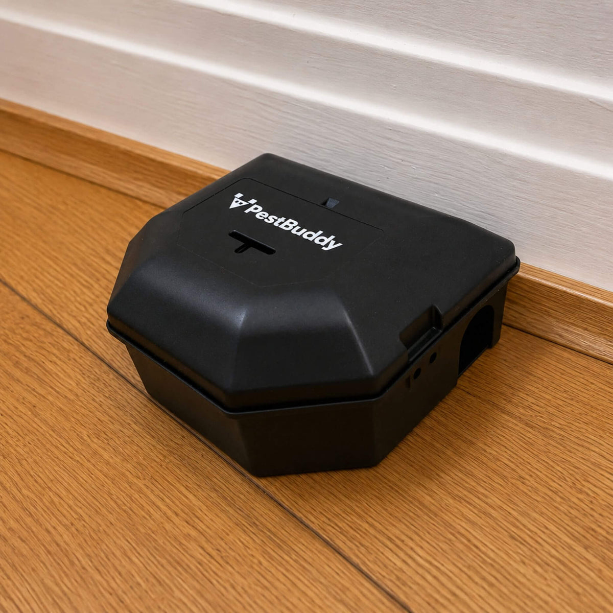 PestBuddy Mouse Bait Station Box in Hallway
