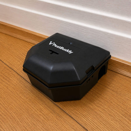 PestBuddy Mouse Bait Station Box in Hallway