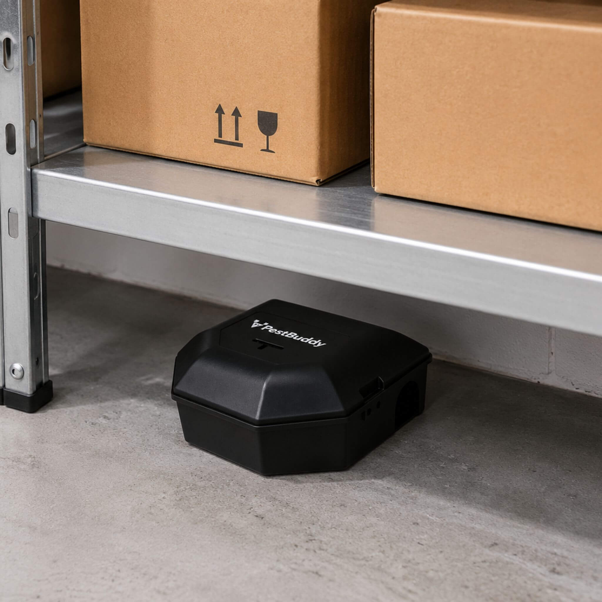PestBuddy Mouse Bait Station Box in storeroom