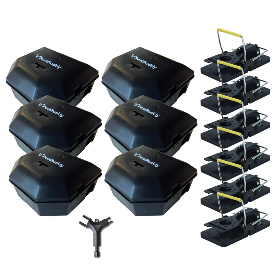 PestBuddy Mouse Traps & Boxes Bulk Kit - Wide Coverage - 6 Pack
