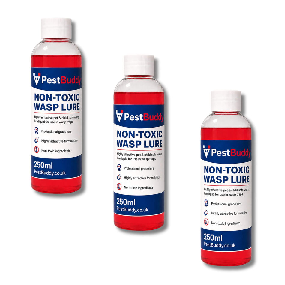 PestBuddy Wasp Lure – 250ml - 3 Pack