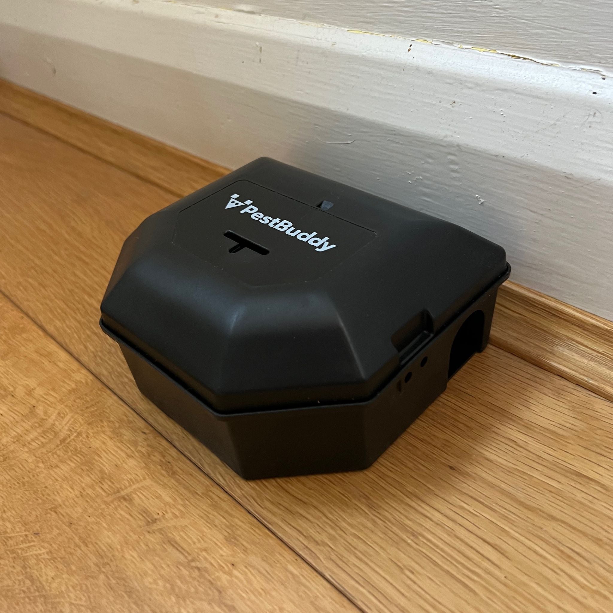 PestBuddy Mouse Snap Box in Action