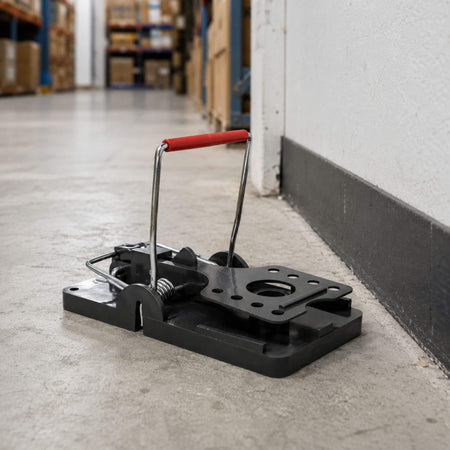 Rat Snap Trap in Warehouse