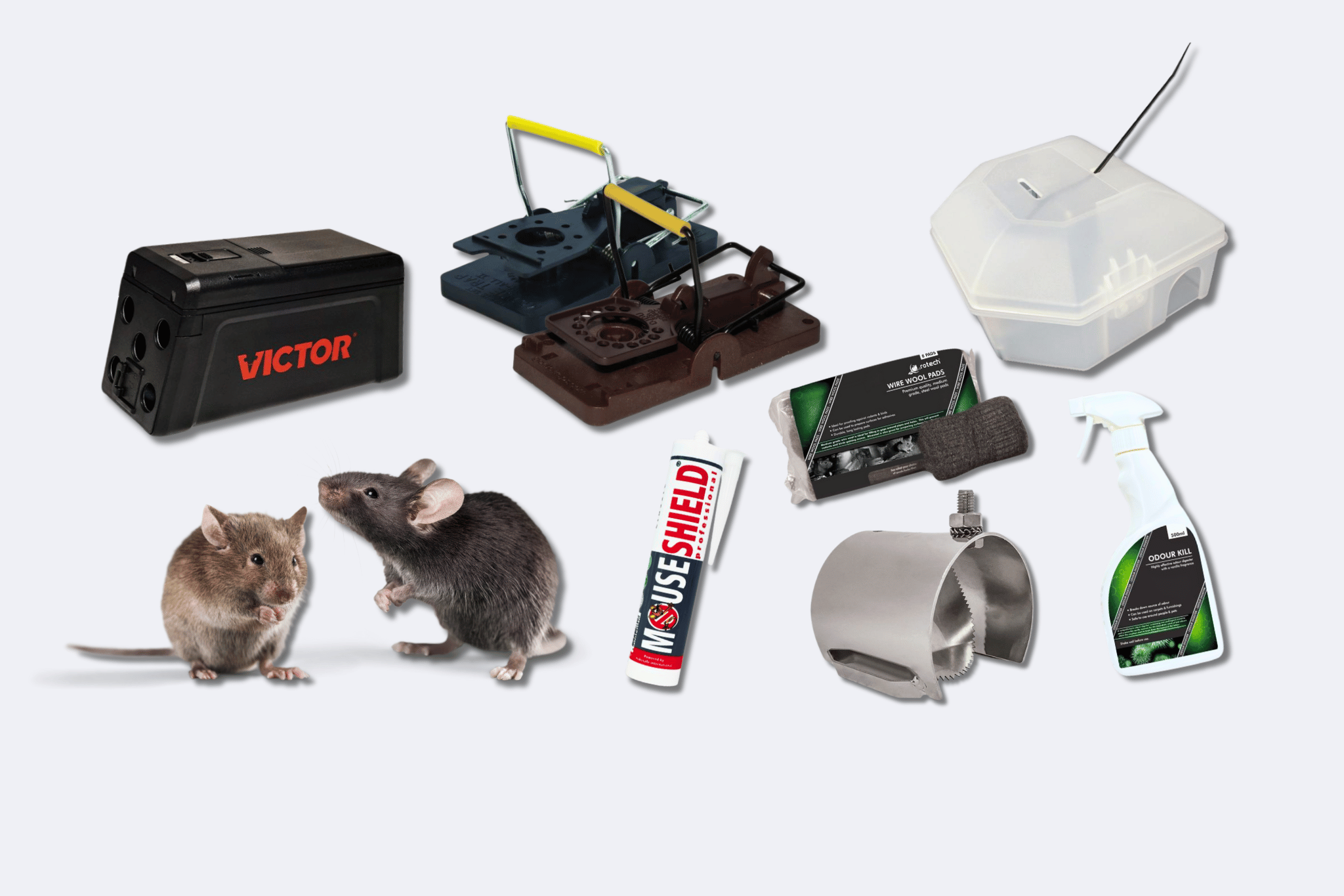Rat and Mouse Control Main Banner
