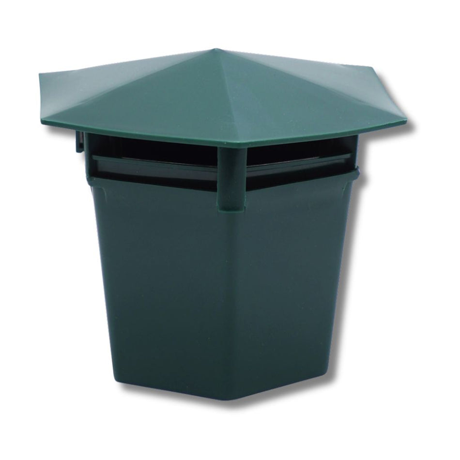 Slug and Snail Control Products | Buy Online – PestBuddy
