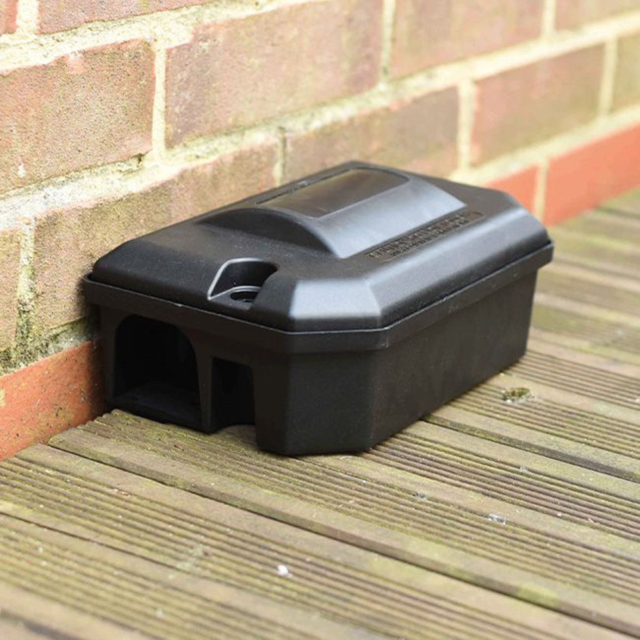 Rotech Bullet Rat Box In Action