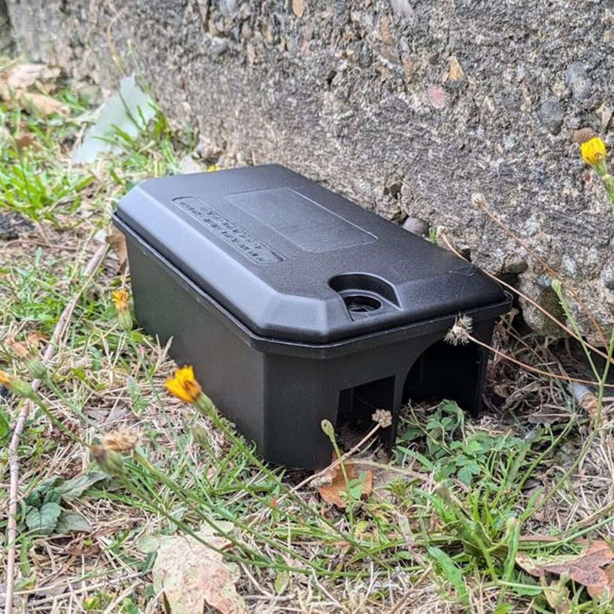 Rotech Compact Rat Bait Station – Discreet, Tamper-Resistant - In Action 3