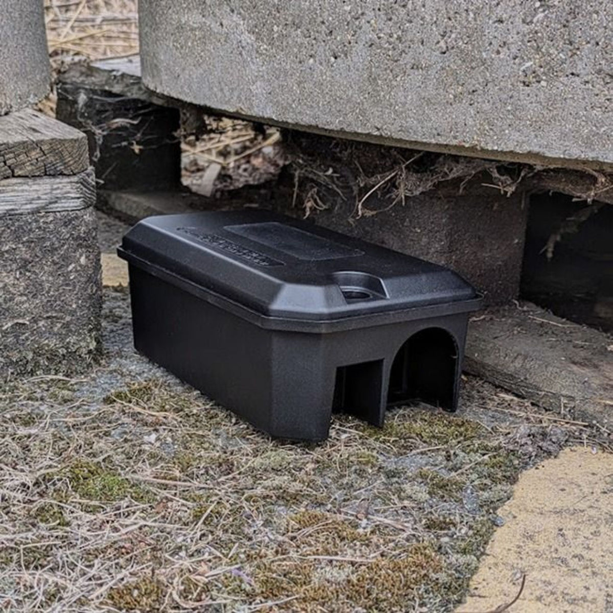 Rotech Compact Rat Bait Station – Discreet, Tamper-Resistant - In Action 2