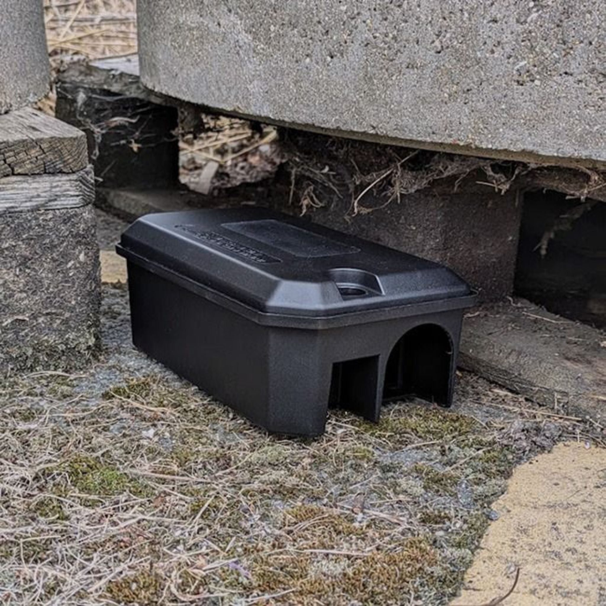 Rotech Compact Rat Bait Station – Discreet, Tamper-Resistant - In Action 2