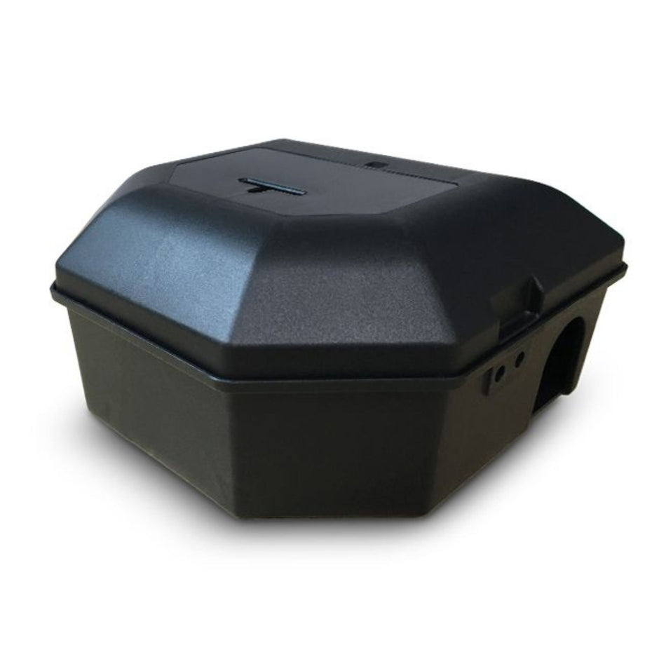 How to Set Up a Mouse Trap: An Easy to Follow Guide – PestBuddy