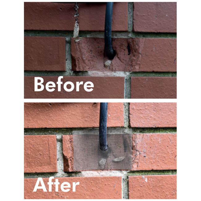 Rotech Rodent Proofing Mesh Before and After 1