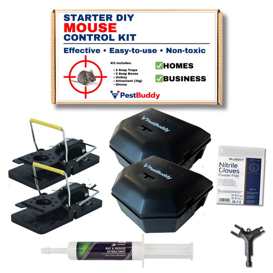 Starter DIY Mouse Control Kit - For Homes & Business