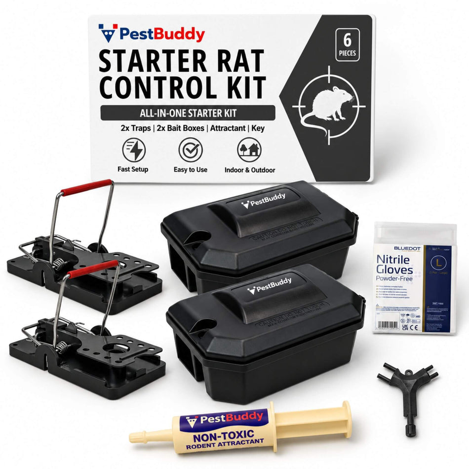 Starter DIY Rat Control Kit – Easy Setup, Fast Results