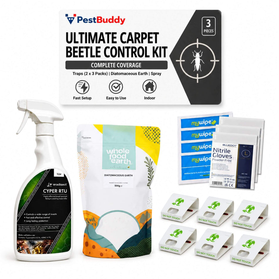Ultimate DIY Carpet Beetle Kit – Easy Setup, Max Results
