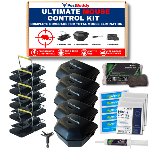 Ultimate DIY Mouse Control Kit – 5 x Mouse Traps and Bait Stations