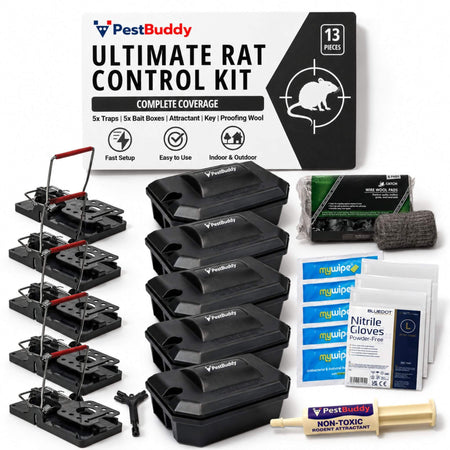 Ultimate DIY Rat Control Kit – Full Set, Easy Setup, Max Results