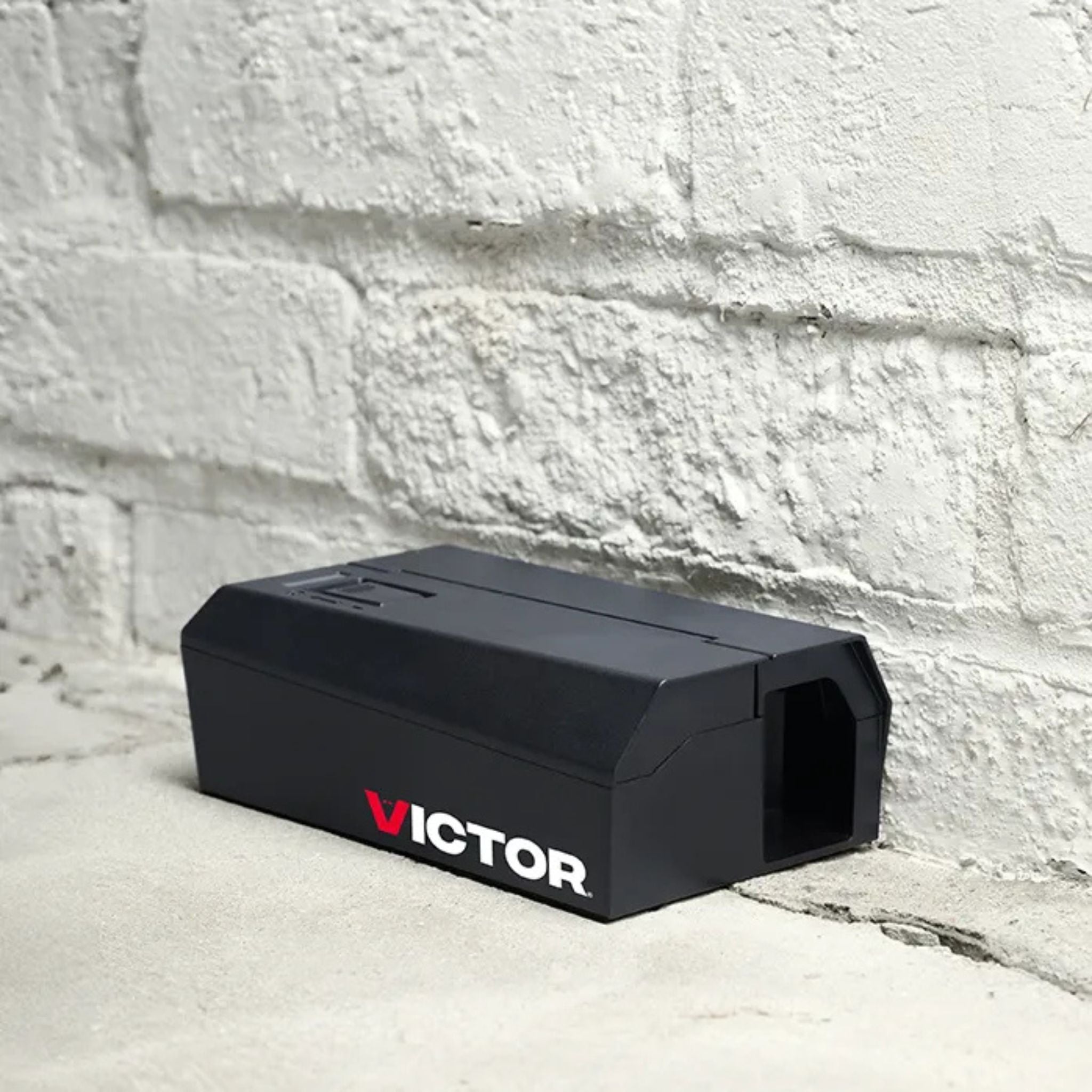 Black Victor mouse trap on a stone surface with a stone wall background