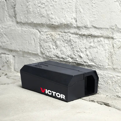 Black Victor mouse trap on a stone surface with a stone wall background