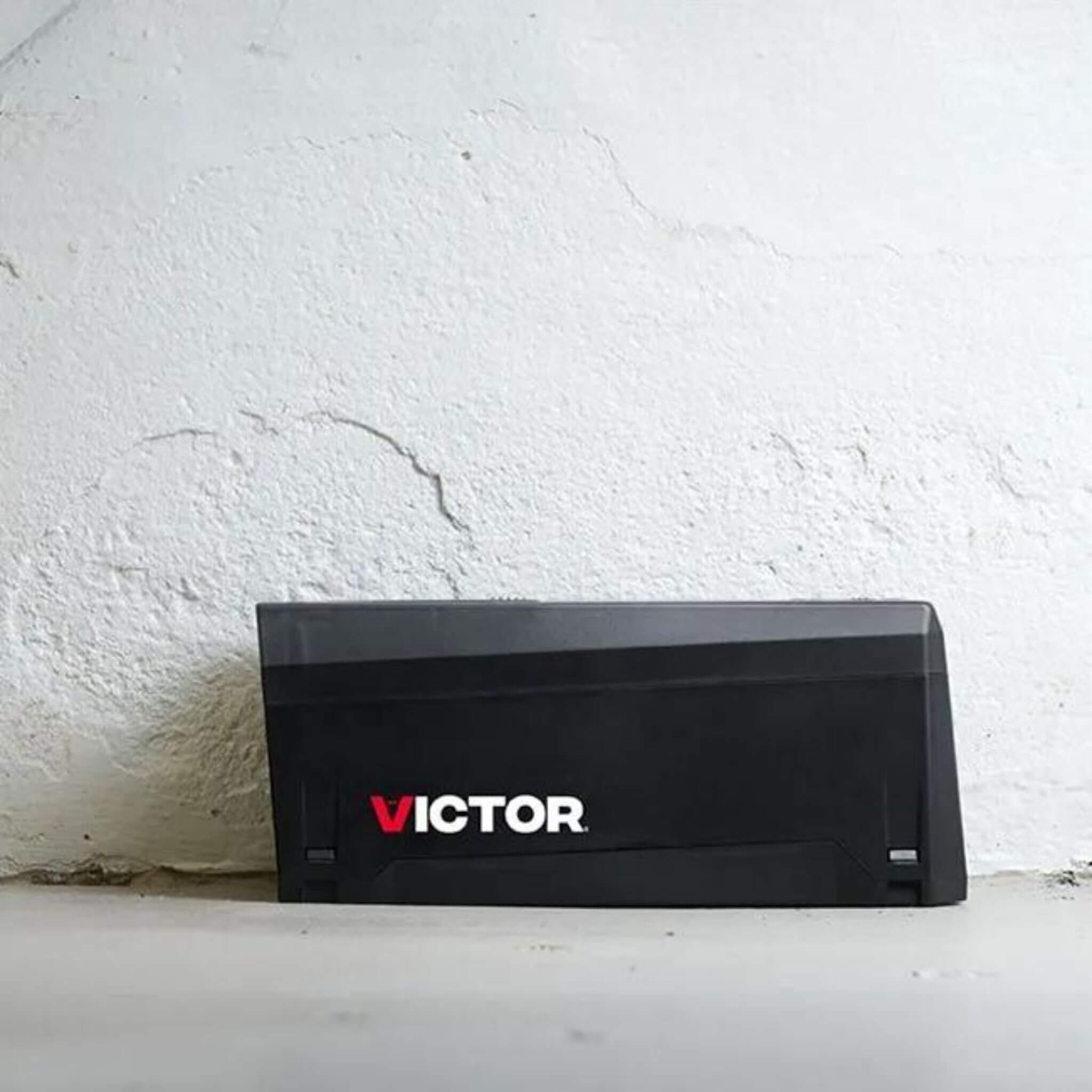Victor Electronic Rat Trap - In action 2