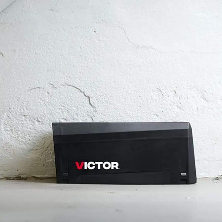 Victor Electronic Rat Trap - In action 2