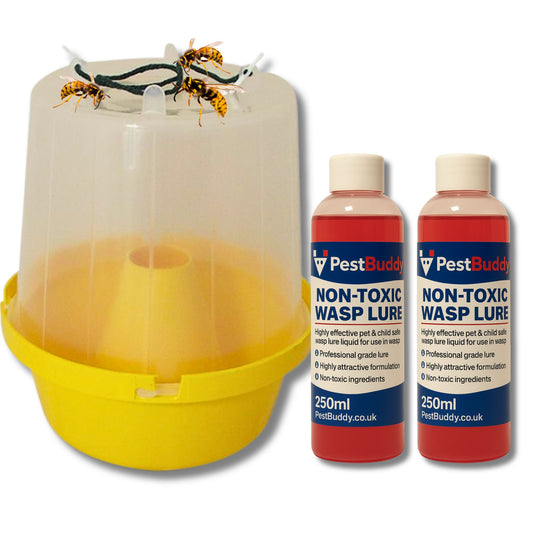 Wasp Control Kit – Wasp Trap Pot & 2 x 250ml Non-Toxic Wasp Lure