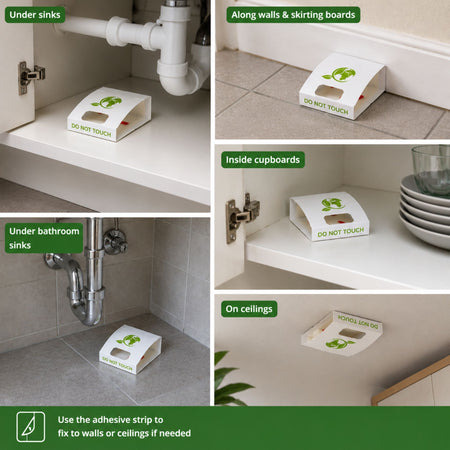 Where to Use Eradi-Trap Insect Monitoring Traps